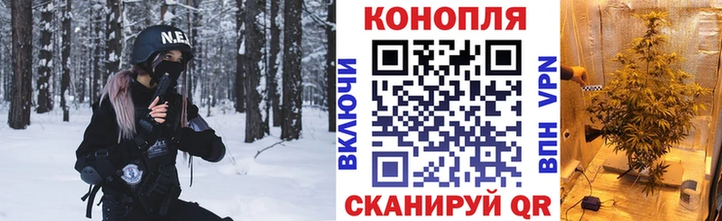 как найти закладки  Инта  Бошки Шишки Amnesia 